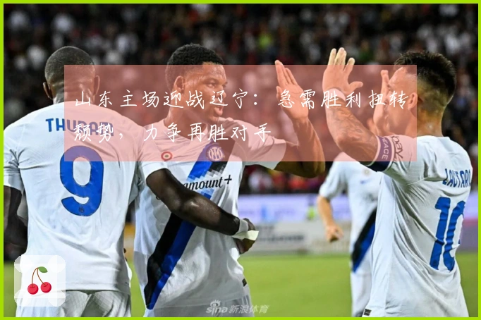 山东主场迎战辽宁：急需胜利扭转颓势，力争再胜对手