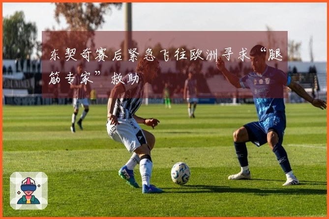 东契奇赛后紧急飞往欧洲寻求“腿筋专家”救助