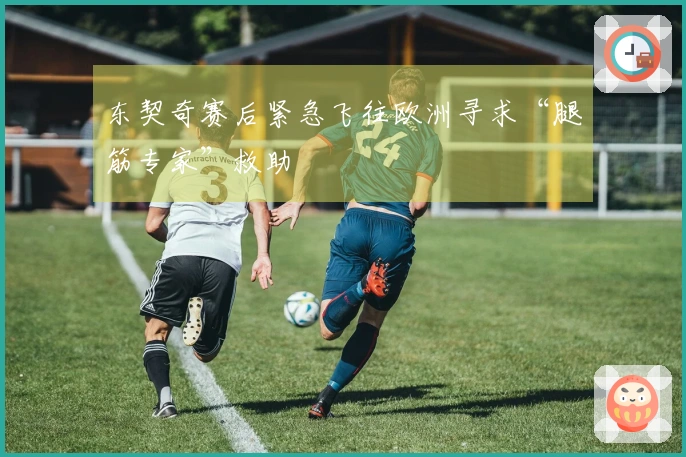 东契奇赛后紧急飞往欧洲寻求“腿筋专家”救助